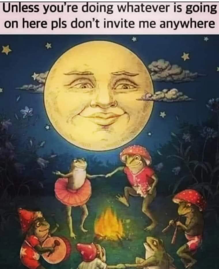 The meme is a playful invitation to a gathering of frogs, where they're having a party around a campfire under the moon. The image features a cartoon moon with a smiling face, surrounded by frogs in various costumes, playing instruments, and dancing. The text at the top of the image reads, "Unless you're doing whatever is going on here, please don't invite me anywhere."